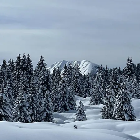 Appartamento Appart' Lapreski *