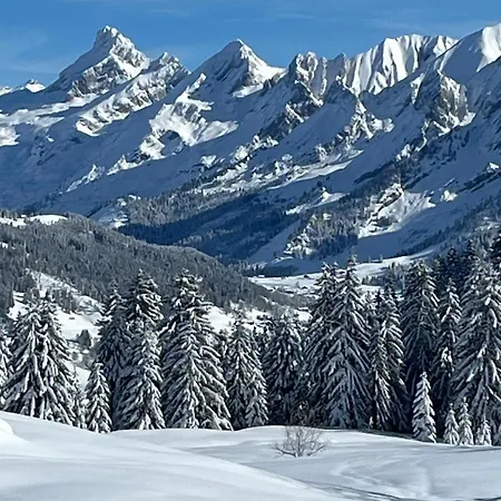 Appart' Lapreski * Thônes